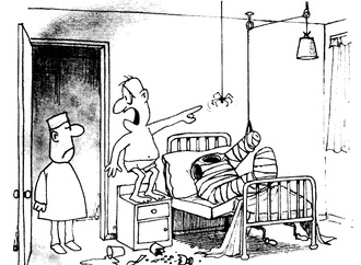 quino4