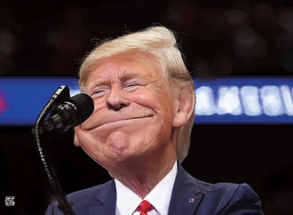 caricature section 33