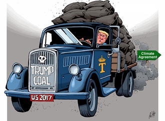 cartoon section189