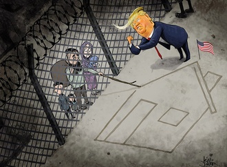 lezio junior brazil 4