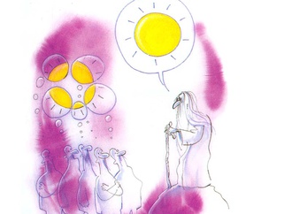 Gallery of Nasreddin Hodja Cartoon Contest-2004