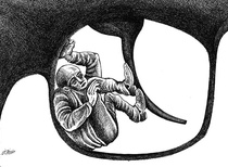 Gallery of the Best World Cartoon-Part 1551