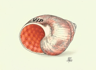 ahmet aykanat2