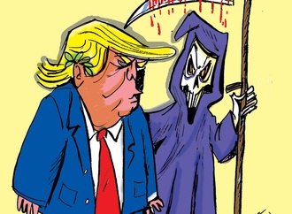 cartoon section297