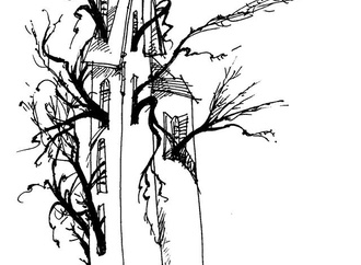 oswaldo miran brazil 25