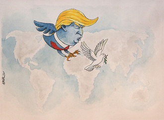 cartoon section81