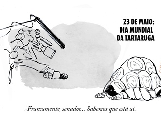 quinho brazil3
