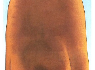 jitet koestana