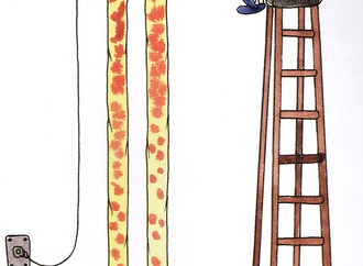 raimundo waldez da c duarte brazil