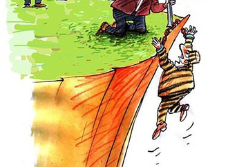 pavel constantin romania1