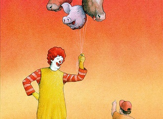 pawel kuczynski 31