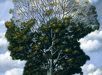rafal olbinski poland00044