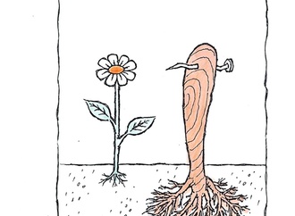 cemal arig turkey 42