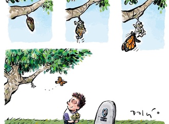 dalcio machado2