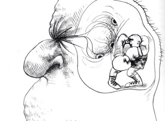ralph steadman