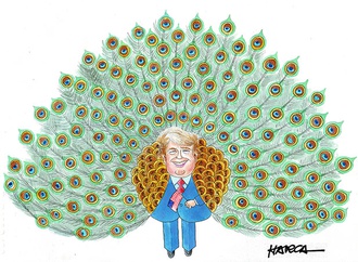 cartoon section308