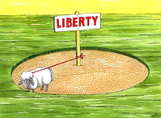 miro stefanovic serbia 45