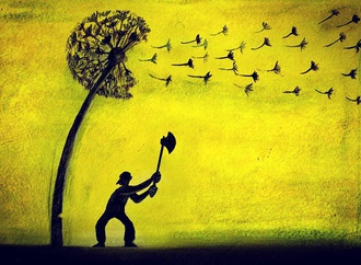 mohsen asadi 19