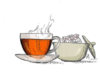 mahmoud barkhordari iran 2