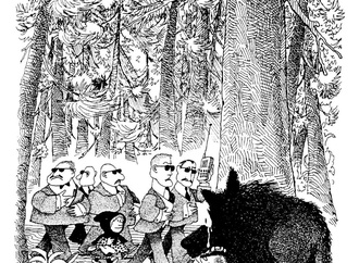quino 54