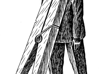 vozhika2