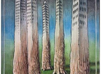 mehmet zeber turkey 19