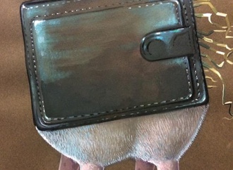 halit kurtulmus aytoslu3