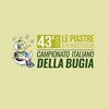 43rd Italian Lies championship graphics 2019 | Italy