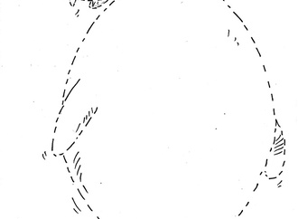 mahmoud barkhordari iran 28