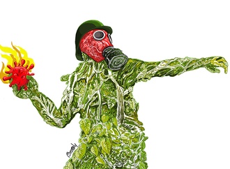 brady izquierdo cuba6