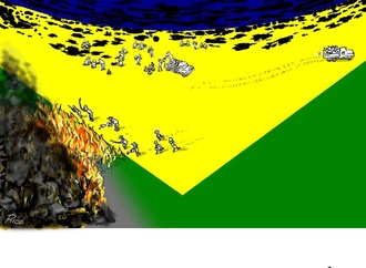 
                                                                                                  Rice Araujo - Brazil