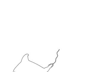 zardoyacuba_1592441127_2333887795007107786_5764095200