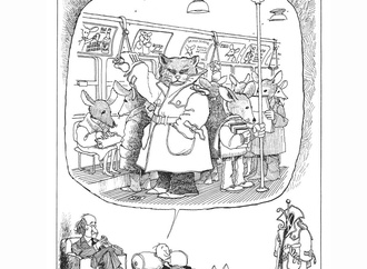 quino 7