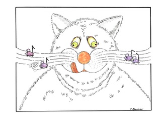 vladimir stevovic serbia 6