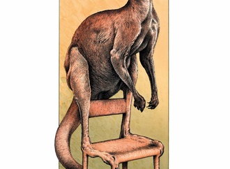 jean solec 214