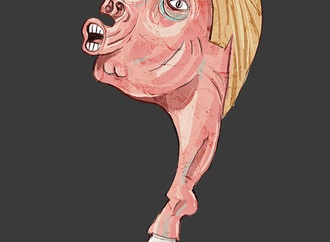 cartoon section41