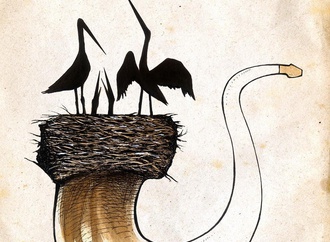 iman nouri najafi 17