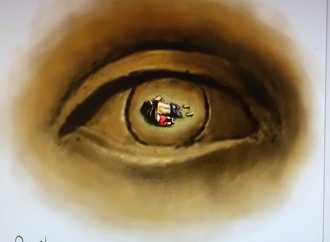 Gallery of Cartoon by Hossein Naghib-Iran