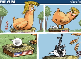 cartoon section301