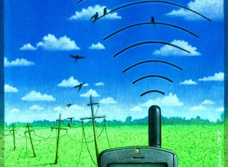 
                                                                                                  Pawel Kuczynski - Poland