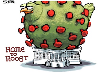 
                                                                                                  Steve Sack - United States of America