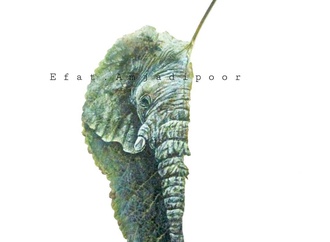 efat amjadipoor iran9