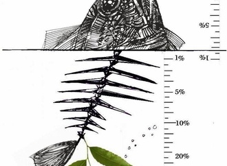 oswaldo miran brazil 31
