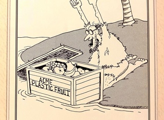gary larson