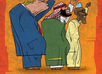 cartoon section555