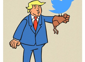 danny de haes belgium