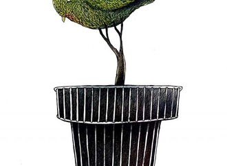angel boligan corbo cuba18