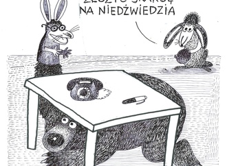 maciej trzepaka14