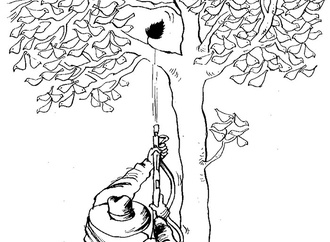 
                                                                                                  Alireza Zakeri - Iran
