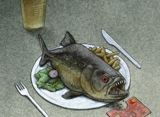 pawel kuczynski